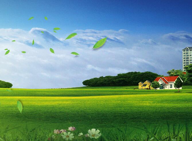 1560302894132658.jpg 12.jpg