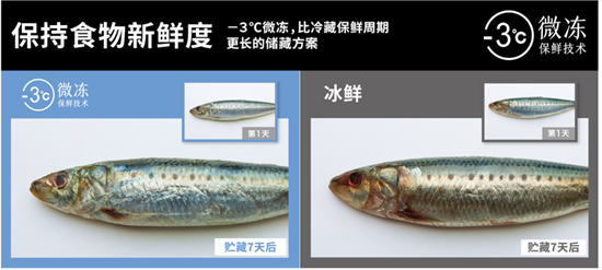 1566787431378722.png 2.png