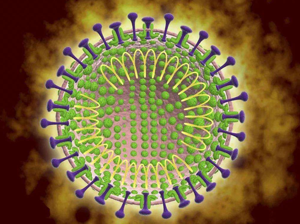 1582013235137374.png 1.png