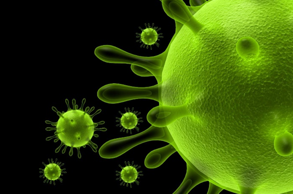 1582184872594139.png 3.png