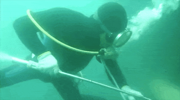 1598001403289858.gif 1598001403289858.gif