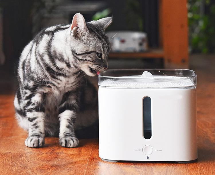 1585883796842002.jpg 500e0f194a26591c4d3ddd302797b95b.jpg