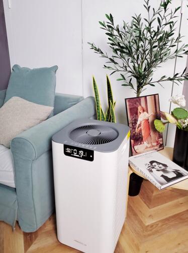 1598518373844627.jpg 1.jpg