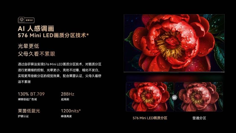 1754969294824089.jpg 33.jpg