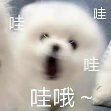 1755846281629344.png image003.png